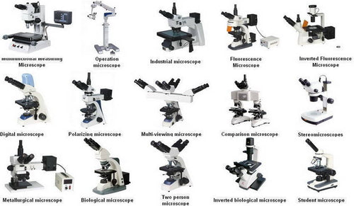 The Benefits and Uses of STEMkids Portable Microscope